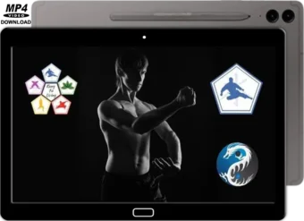 LEARN KUNG FU ON LINE - INTERMEDIATE