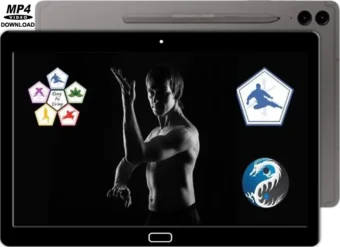 LEARN KUNG FU ON LINE - BEGINNERS