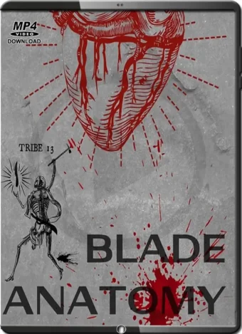 FLORIN - BLADE ANATOMY