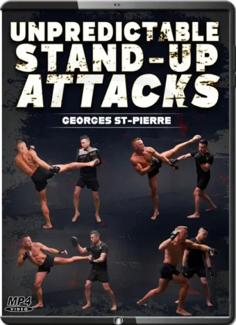 GEORGES ST-PIERRE - UNPREDICTABLE STAND-UP ATTACKS