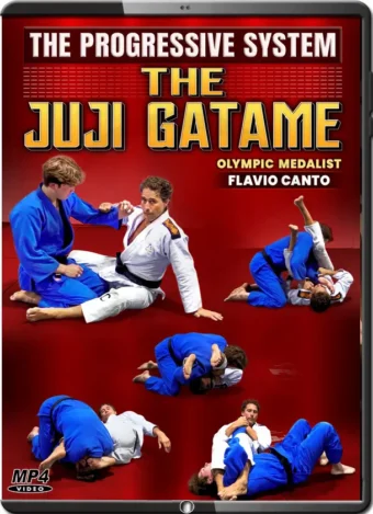 FLAVIO CANTO - THE PROGRESSIVER SYSTEM - THE JUJI GATAME