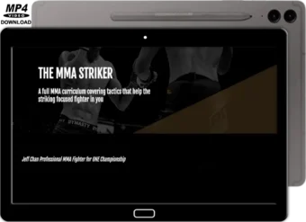 JEFF CHAN - THE MMA STRIKER