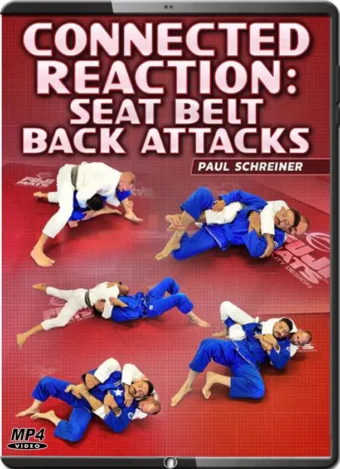 PAUL SCHREINER - CONNECTED REACTION - SEAT BELT BACK ATTACKS