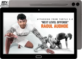 RAOUL AUDHOE - ATTACKING FROM TURTLE 2.0