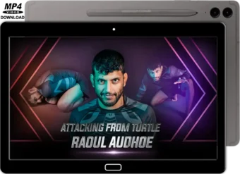RAOUL AUDHOE - ATTACKING FROM TURTLE