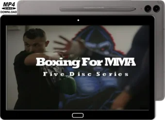 SBGI BOXING FOR MMA