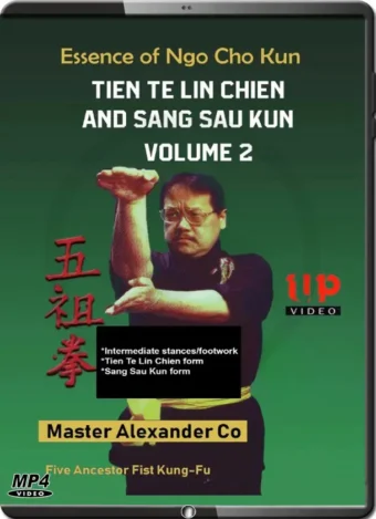 ALEX CO - ESSENCE OF NGO CHO KUN 2 - TIEN TE LIN CHIEN AND SANG SAU KUN