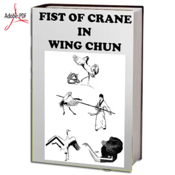 THE CRANE FIST IN WING CHUN EM PDF