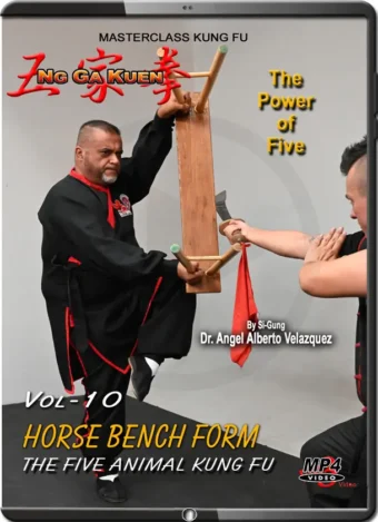 ANGEL VELAZQUEZ - NG GA KUEN - KUNG FU VOL.10 - HORSE BENCH FORM