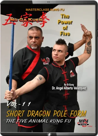 ANGEL VELAZQUEZ - NG GA KUEN - KUNG FU VOL.11 - SHORT DRAGON POLE FORM