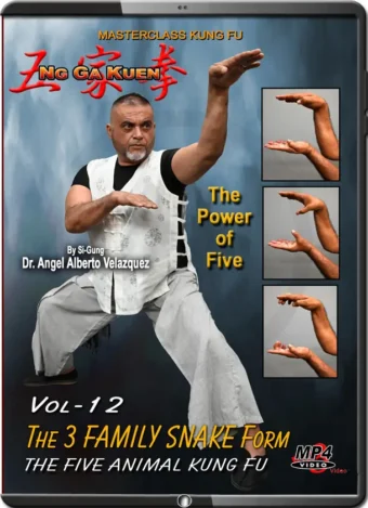 ANGEL VELAZQUEZ - NG GA KUEN - KUNG FU VOL.12 - THE FAMILY SNAKE FORM