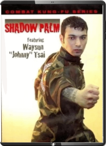 WAYSUN JOHNNY TSAI - COMBAT KUNG FU - SHADOW PALM CUTTING PUNCH