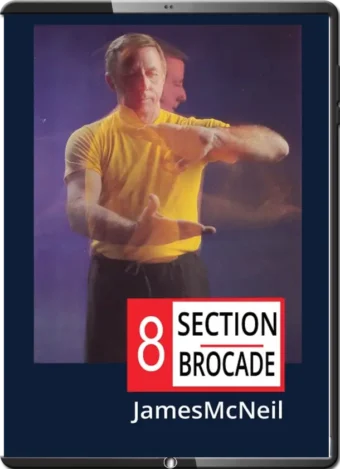 JAMES McNEIL - 8 SECTION BROCADE