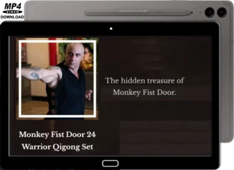 JIANGYUSHAN - 3° WARRIOR NEIGONG - MONKEY FIST DOOR 24 WARRIOR QIGONG SET