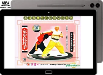 XIA ZHAO LONG - TAI CHI STYLE PRAYING MANTIS - LA FENG DA WITH FIXED STEPS