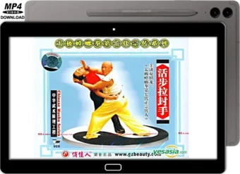 XIA ZHAO LONG - TAI CHI STYLE PRAYING MANTIS - LA FENG DA WITH LIVE STEPS