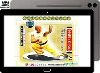 XIA ZHAO LONG - TAI CHI STYLE PRAYING MANTIS - ZHAI YAO LATTER THREE SECTIONS