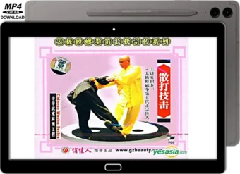 XIA ZHAO LONG - TAI CHI STYLE PRAYING MANTIS - FREE FIGHTING TECHNIQUES