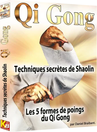 DANIEL BRAIBANT - QI GONG TECHNIQUES SECRÈTES DE SHAOLIN