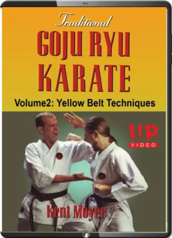 KENT MOYER - TRADITIONAL GOJU RYU KARATE 2 - YELLOW BELT TECHNIQUES