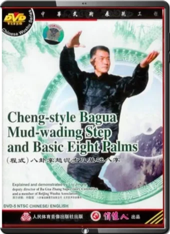 MASTER LIU JING RU - TRADITIONAL CHENG STYLE BAGUA 07