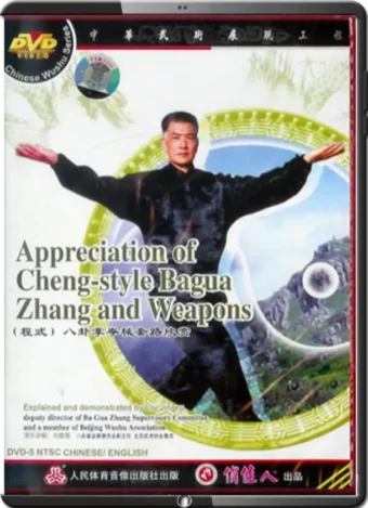 MASTER LIU JING RU - TRADITIONAL CHENG STYLE BAGUA 05