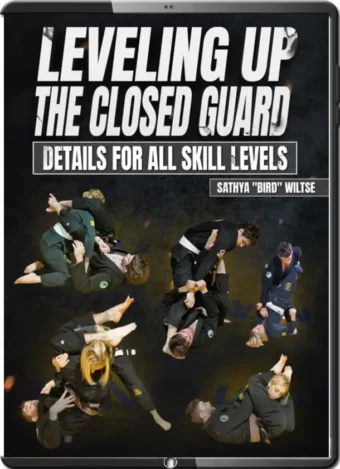 SATHYA BIRD WILTSE - LEVELING UP THE CLOSED GUARD
