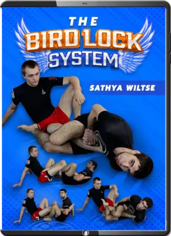 SATHYA WILTSE - THE BIRD LOCK SYSTEM