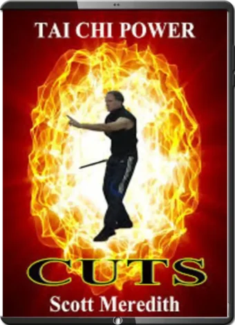 SCOTT MEREDITH - TAI CHI POWER CUTS