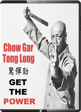 KUNG FU CHOW GAR TONG LONG SOUTHERN MANTIS SERIES - GET THE POWER