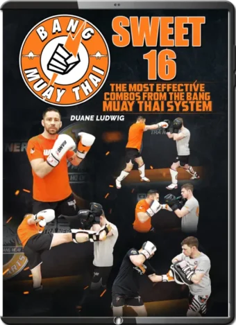 DUANE LUDWIG - SWEET 16