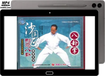 JIANG RONG JIAO - BAGUA - JIANG STYLE BAGUA PALM