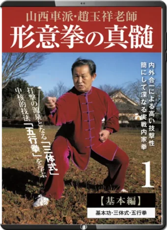 MASTER ZHAO YUXIANG - THE ESSENCE OF XINGYIQUAN VOL.01