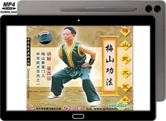 MEISHAN QUAN - BASICS & CONDITIONING VOL.15