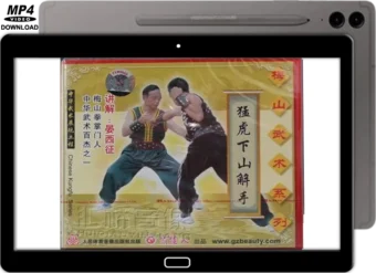 MEISHAN QUAN - DESCENDING TIGER EXPLAINED VOL.12