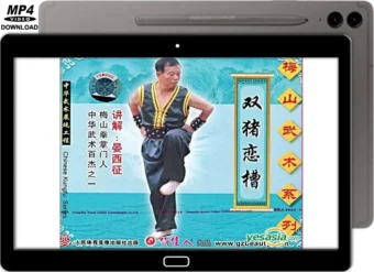 MEISHAN QUAN - DOUBLE PIG LOVES THE TROUGH VOL.17