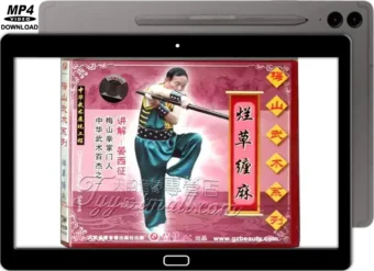 MEISHAN QUAN - EYEBROW STAFF VOL.05