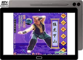 MEISHAN QUAN - FIERCE TIGER DESCENDS THE MOUNTAIN VOL.14