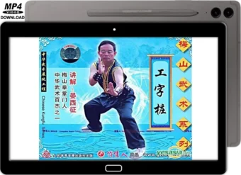 MEISHAN QUAN - GONG ZI ZHUANG - VOL.01