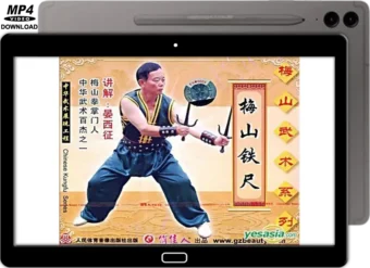 MEISHAN QUAN - IRON RULERS (SAI) VOL.07