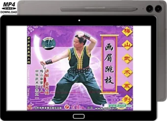 MEISHAN QUAN - SINGLE HACKING KNIFE VOL.06