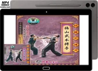 MEISHAN QUAN - TECHNIQUES EXPLAINED VOL.13