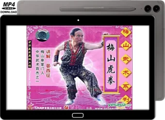 MEISHAN QUAN - TIGER BOXING - VOL.02