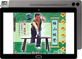 MEISHAN QUAN - TRAINING BENCH VOL.08