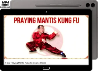YING SHENG WU - EASY KUNG FU FIGHTING APPLICATIONS - LEARN MANTIS MARTIAL ART