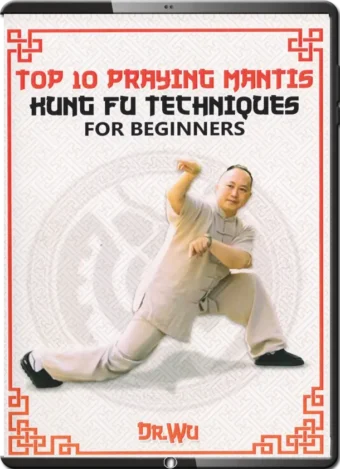 YING SHENG WU - TOP 10 PRAYING MANTIS KUNG FU TECHNIQUES FOR BEGINNERS
