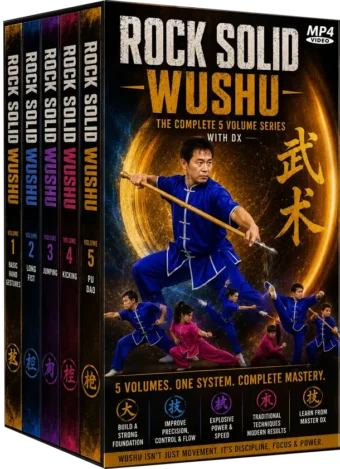 DX - ROCK SOLID - WUSHU