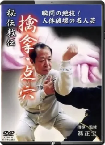 FENG ZHENGBAO - QIN NA & DIM MAK (PRESSURE-POINT STRIKING)