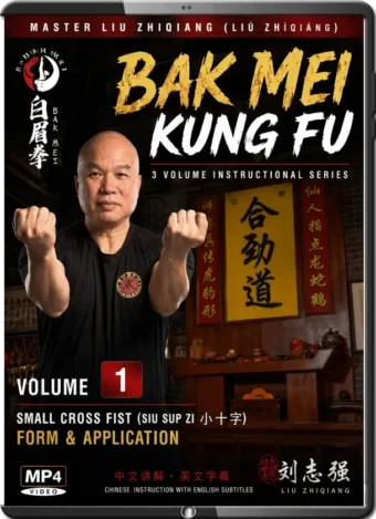 LIU ZHIQIANG - BAK MEI KUNG FU VOL.01