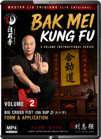 LIU ZHIQIANG - BAK MEI KUNG FU VOL.02
